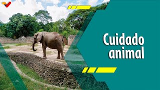 Punto Verde | La importancia de cuidar a nuestros animales