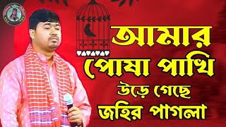 আমার পোষা পাখি উড়ে গেছে। জহির পাগলা। Johir Pagla। বাংলা বাউল গান। Bangla Baul Song। 2025