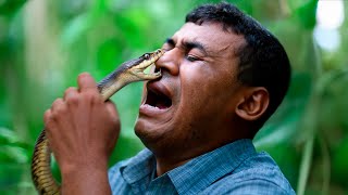The Deadliest Snake Attacks