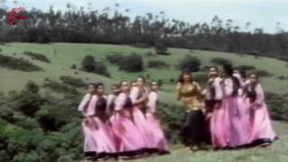 Maayadari Pillada Video Song || Bobbili Simham Movie || Balakrishna, Roja, Meena