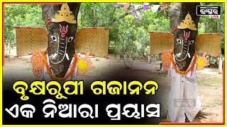 ପୂଜାରେ ଯେଉଁ ମୂର୍ତ୍ତି କରୁଛୁ ଏତେ ପଇସା ଖର୍ଚ୍ଚ ହେଉଛି ପରିବେଶ ମଧ୍ୟ ପ୍ରଦୂଷିତ ହେଉଛି ଆମେ ଗଛ ରୂପରେ ପୂଜା କରୁଛୁ