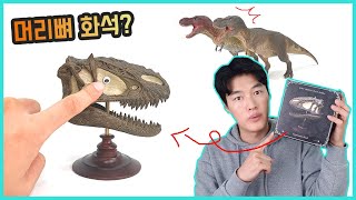 rebor dinosaur skull fossil review (Yutyrannus,Carnotaurus,Ceratosaurus)