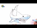 How to draw a shark