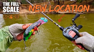 Exploring A New Location For Murray Cod | The Full Scale