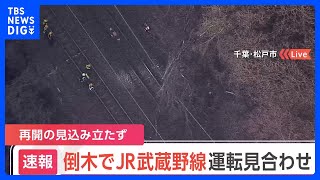 【速報】JR武蔵野線が倒木の影響で一部運転見合わせ　西船橋－吉川美南間の上下線で運転再開の見込み立たず　午後5時15分現在｜TBS NEWS DIG