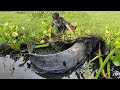 Amazing Hand Fishing Video. The Boy Catch Big Fish Traditionally River With Hand.