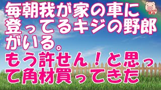 【スカッとする話 Ⅱ】【修羅場な話】毎朝我が家の車に登って「ぐえーぐえー！バサバサ」ってやるキジの野郎がいる。もう許せん！と思って角材買ってきた（スカッとんCH）