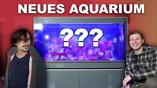 Neues AQUARIUM von Jack Elliot - Tiefsee im Schlafzimmer??