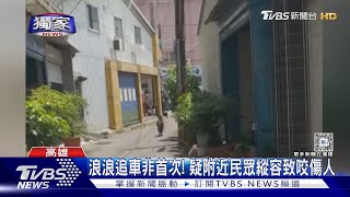 #獨家  沒主人卻縱容餵養! 2浪浪咬傷女童沒人理 家長怒通報圍捕｜TVBS新聞 @TVBSNEWS01