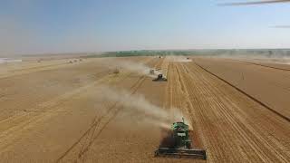 Canadian Foodgrains Bank Vauxhall Alberta 2017 Harvest