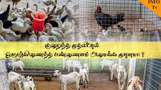 How to start integrated farming / ஒருங்கிணைந்த பண்ணையம் அமைப்பது எப்படி