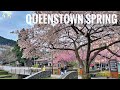 Queenstown Spring Morning Walk 2024 4K | Town Centre | Queenstown Gardens | New Zealand Walking Tour