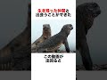 イグアナvsヘビ熱すぎた‼️🔥　 雑学 動物 animals 自然