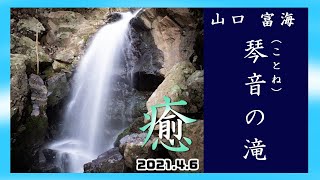 【HARDモード】 琴音の滝 【山口県防府市富海】