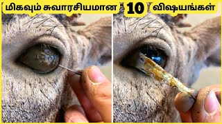 மிகவும் சுவாரசியமான விஷயங்கள் || Ten Most Interesting Things || Galatta Info Tamil