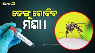 ଡେଙ୍ଗୁ ଓ ଚିକେନ ଗୁନିଆ ରୋକିବ ମଶା ! ICMR ଗବେଷଣା ପରେ ମିଳିଛି ସଫଳତା