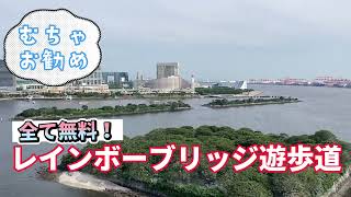 【けしからん風景】レインボーブリッジ遊歩道#レインボーブリッジ#絶景#デートスポット