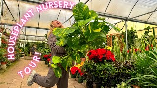 New Houseplants Popping Up In This Nursery!