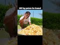 100 kg potato ka kamal #shorts