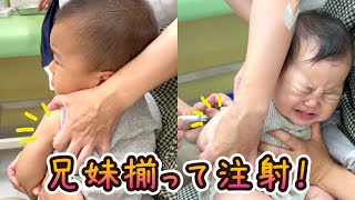 【兄と妹！共に乗り越えろ😊】3歳＆0歳9ヶ月 Japanese baby