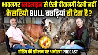 Madhvi Dairy Farm क्यों एंब्रियो पर काम करने लगा? Bhavnagar की गायों से Praveen Bhai को प्रेम कैसे?