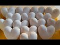 White Hearts Mass Crush| ASMR| Anxiety Relief| Sleep Aid| Oddly Satisfying| Repost