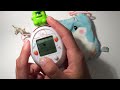 introduction to my tamagotchi tamatown tama go