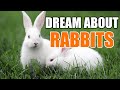 Interesting Meanings Behind Dreams about Rabbits - Sign Meaning