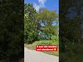 house in texas city tx is unrecognizable today.. googlemaps timelapse abandoned exploring