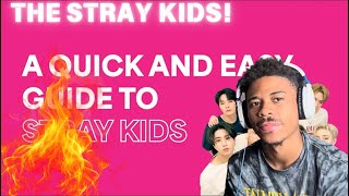 A SIMPLE GUIDE TO STRAY KIDS (REACTION)!!! 🔥