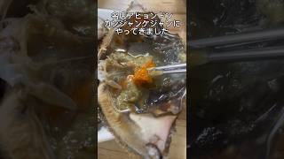 【ごはん泥棒】ソウルの名店 阿峴洞(アヒョンドン)カンジャンケジャンで本場のカンジャンケジャンを食べてみた！ #shorts #カンジャンケジャン #韓国料理 #グルメ #ソウル #서울 #간장게장