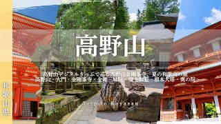 【高野山金剛峯寺】南海高野山デジタルきっぷで巡る和歌山県高野山の旅（大門・壇上伽藍・金剛峯寺・奥の院）_Japan Travel Vlog 2024