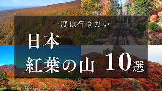 一度は行きたい日本紅葉の山10選#登山 #紅葉 #紅葉絶景