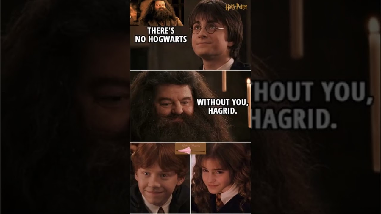 Harry Potter | Good Bye.. Professor Rubeus Hagrid | There's No Hogwarts ...