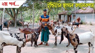 তোতাপুরি হরিয়ানা ও ক্রস জাতের ছাগল কালেকশন | মাহাবুব ভাই-এর ছাগলের খামারে | #উন্নত_জাতের_ছাগল