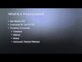Sass Beginner Tutorial #1: What Are Preprocessors?