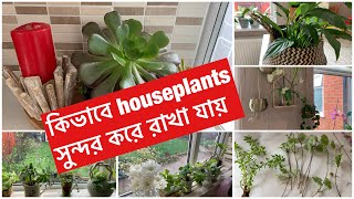 সৌখিন হওয়ার সহজ কৌশল 😃কিভাবে houseplants যত্ন  করি আর মনের মত সাজাই ।