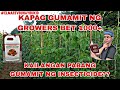 🔴KAPAG GUMAMIT NG GROWERS BET 1000+ KAILANGAN PABANG GUMAMIT NG IBANG INSECTICIDE??