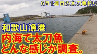 6月の和歌山の漁港。もう内海でも太刀魚は釣れるのか！？6月1週目の太刀魚釣り。