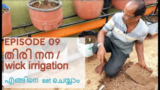 E9_തിരി നന / wick irrigation എങ്ങിനെ set ചെയ്യാം