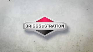 Briggs \u0026 Stratton 550 - 2100 Series Engines