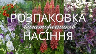 Обзор посилочок з насінням квітів багаторічників та інших рослин. Що можна посіяти під зиму.