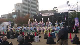 よんでんグループ　YOSAKOI高松祭り2024　中央公園メインステージ2日目2回目