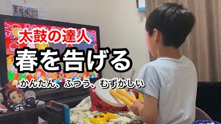 春を告げるに挑戦だドン【太鼓の達人,小学生,タタコン,ドンだー,キッズ,子供,スイッチ,Nintendo Switch ば～じょん！】