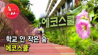 학교 안 작은 숲 '에코스쿨' / 서울 현대HCN