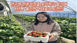 연구원 전문직장을 포기하고 딸기에 올인한 여대표의 인터뷰