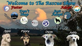 The Rescue Show 11-17-2024