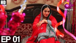 GhareebZaadi Episode 1 | Aplus | Top Pakistani Dramas | C2Y1