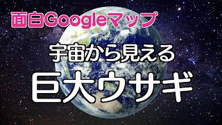 面白Google マップ【宇宙から見える巨大ウサギ】