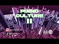 PIANO CULTURE II | DJ GINGER | VIBES ENTERTAINMENT | AMAPIANO MIX 2023